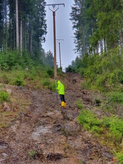 Vermessung im Wald