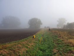 Vermessung im Nebel