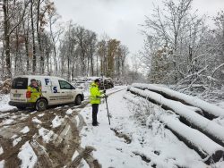 Vermessungstechniker im winterlichen Wald